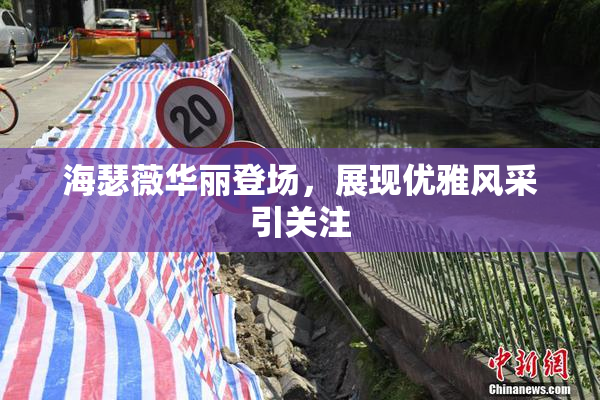 海瑟薇华丽登场，展现优雅风采引关注