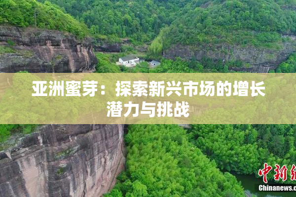 亚洲蜜芽：探索新兴市场的增长潜力与挑战