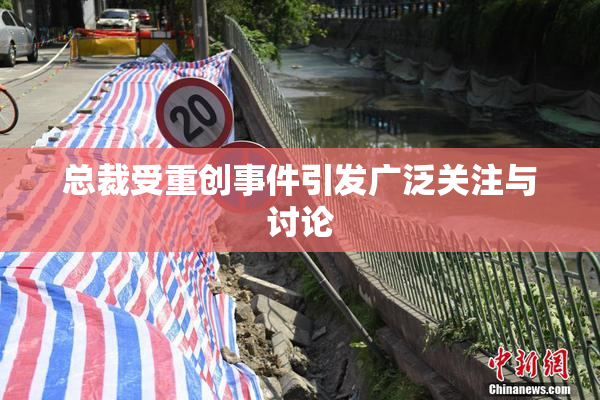 总裁受重创事件引发广泛关注与讨论