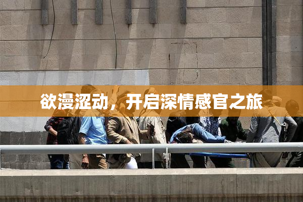 欲漫涩动，开启深情感官之旅