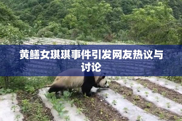 黄鳝女琪琪事件引发网友热议与讨论