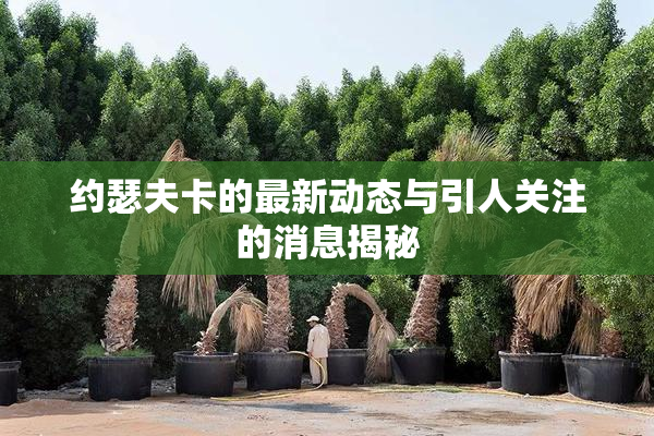 约瑟夫卡的最新动态与引人关注的消息揭秘