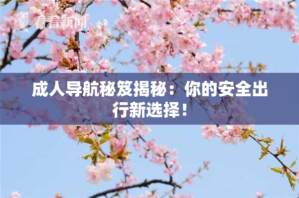 成人导航秘笈揭秘：你的安全出行新选择！