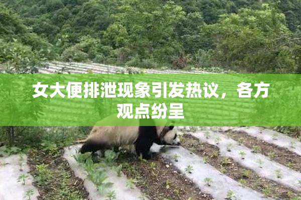 女大便排泄现象引发热议，各方观点纷呈