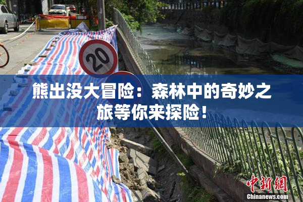 熊出没大冒险：森林中的奇妙之旅等你来探险！