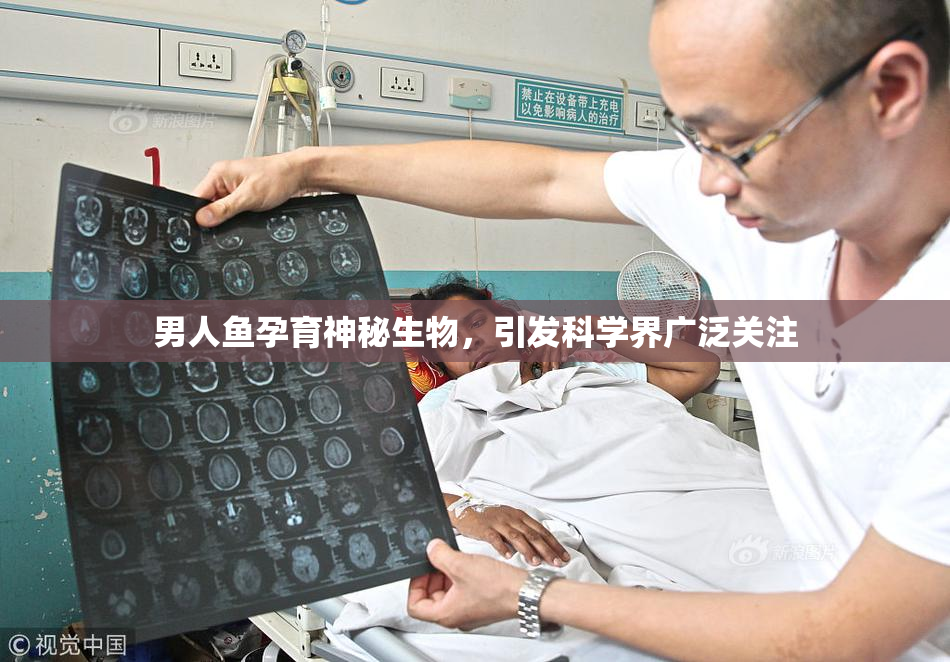 男人鱼孕育神秘生物，引发科学界广泛关注