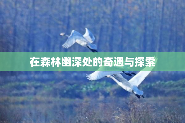 在森林幽深处的奇遇与探索
