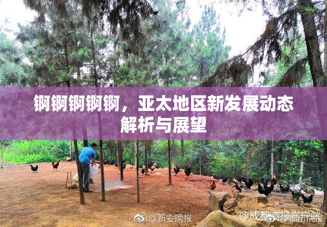 锕锕锕锕锕，亚太地区新发展动态解析与展望