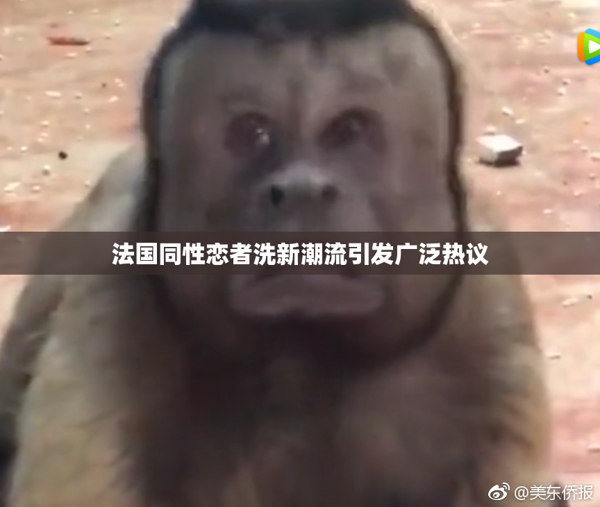 法国同性恋者洗新潮流引发广泛热议
