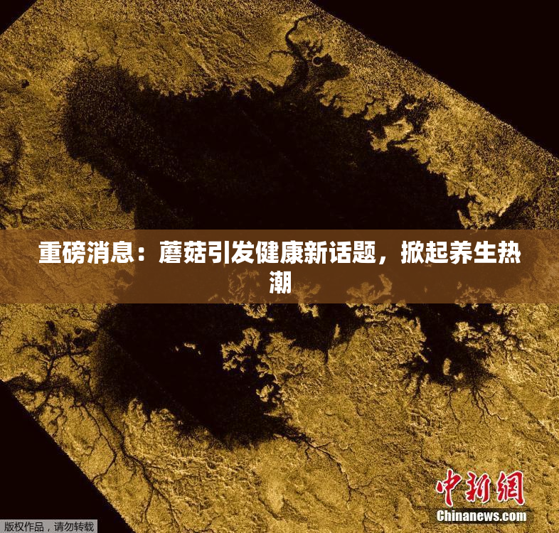 重磅消息：蘑菇引发健康新话题，掀起养生热潮