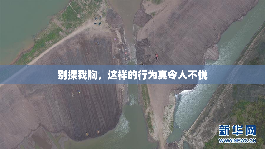 别揉我胸，这样的行为真令人不悦