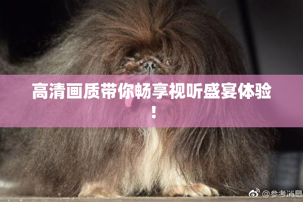 高清画质带你畅享视听盛宴体验！