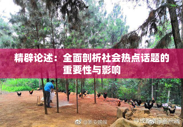 精辟论述：全面剖析社会热点话题的重要性与影响