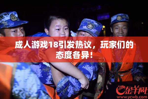 成人游戏18引发热议，玩家们的态度各异！