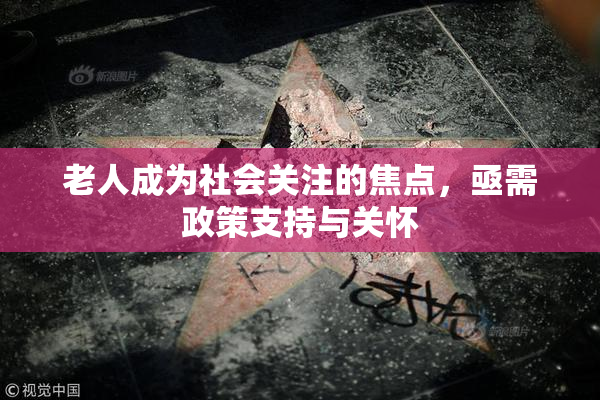 老人成为社会关注的焦点，亟需政策支持与关怀