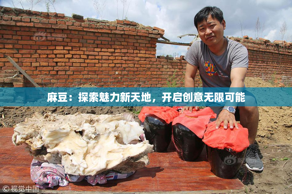 麻豆：探索魅力新天地，开启创意无限可能