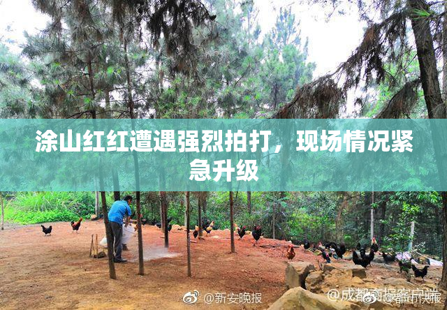 涂山红红遭遇强烈拍打，现场情况紧急升级