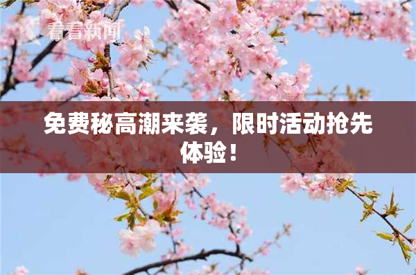 免费秘高潮来袭，限时活动抢先体验！