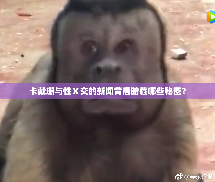 卡戴珊与性Ⅹ交的新闻背后暗藏哪些秘密？