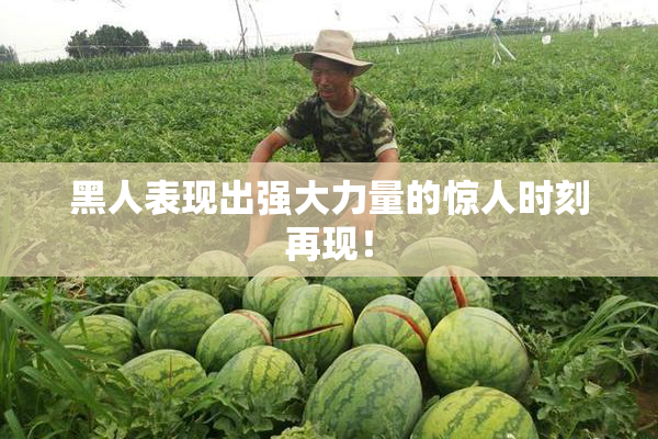 黑人表现出强大力量的惊人时刻再现！