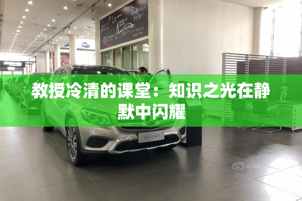 教授冷清的课堂：知识之光在静默中闪耀