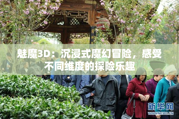魅魔3D：沉浸式魔幻冒险，感受不同维度的探险乐趣