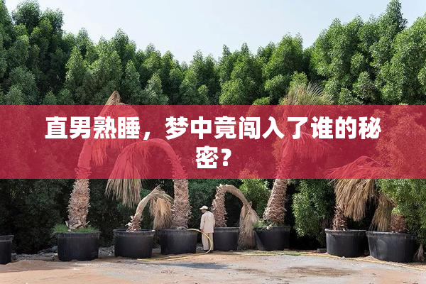 直男熟睡，梦中竟闯入了谁的秘密？