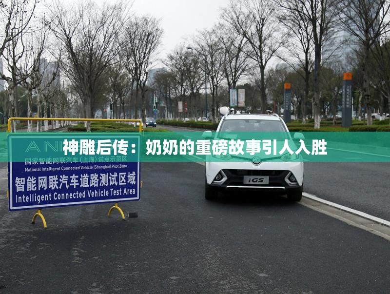 神雕后传：奶奶的重磅故事引人入胜