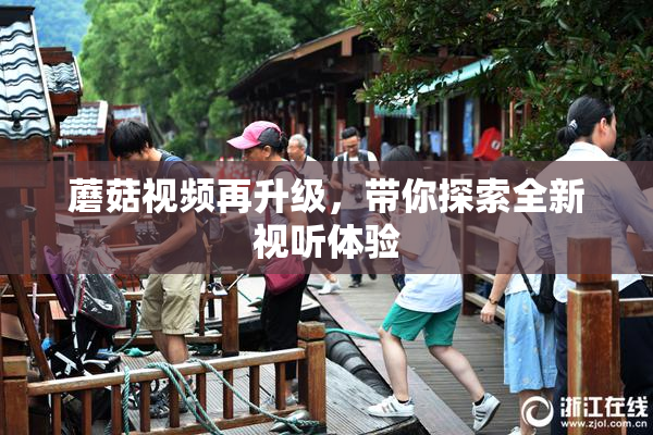蘑菇视频再升级，带你探索全新视听体验