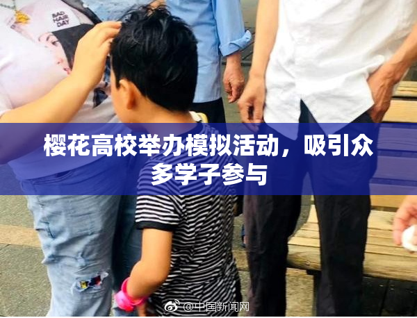樱花高校举办模拟活动，吸引众多学子参与