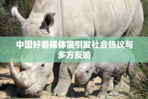中国好看裸体展引发社会热议与多方反响