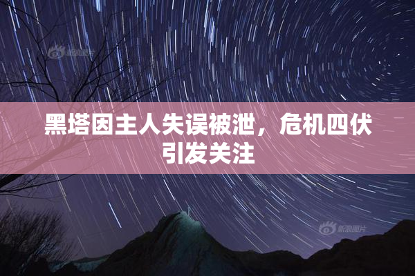 黑塔因主人失误被泄，危机四伏引发关注