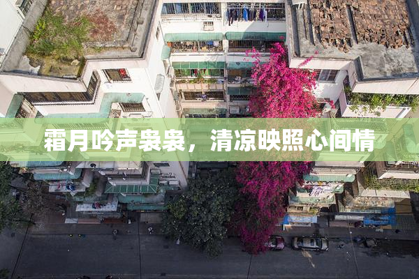 霜月吟声袅袅，清凉映照心间情