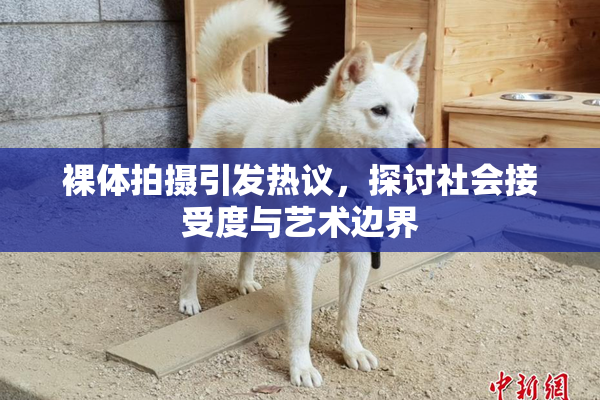 裸体拍摄引发热议，探讨社会接受度与艺术边界