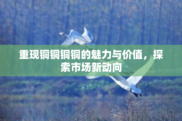 重现铜铜铜铜的魅力与价值，探索市场新动向