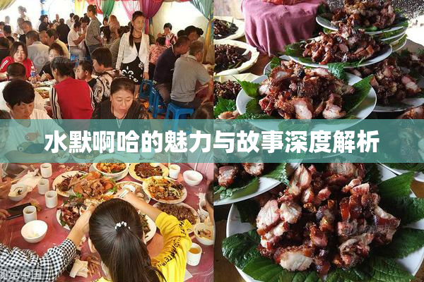 水默啊哈的魅力与故事深度解析