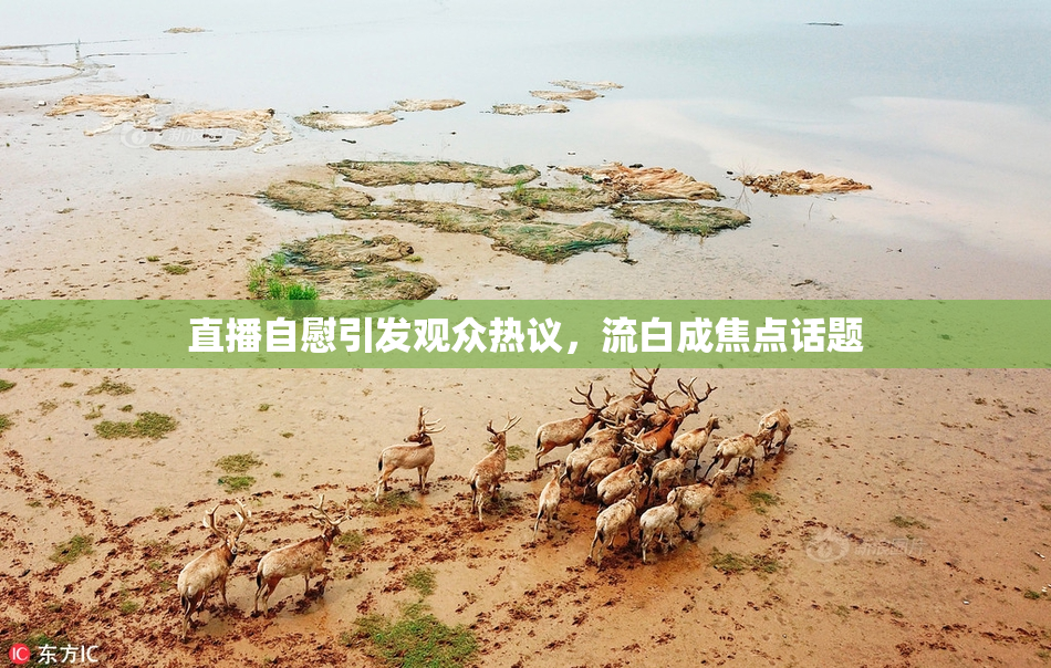 直播自慰引发观众热议，流白成焦点话题