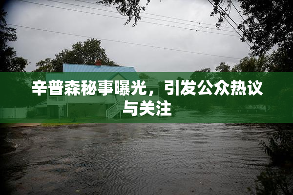 辛普森秘事曝光，引发公众热议与关注