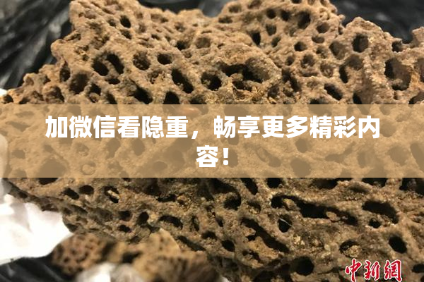 加微信看隐重，畅享更多精彩内容！
