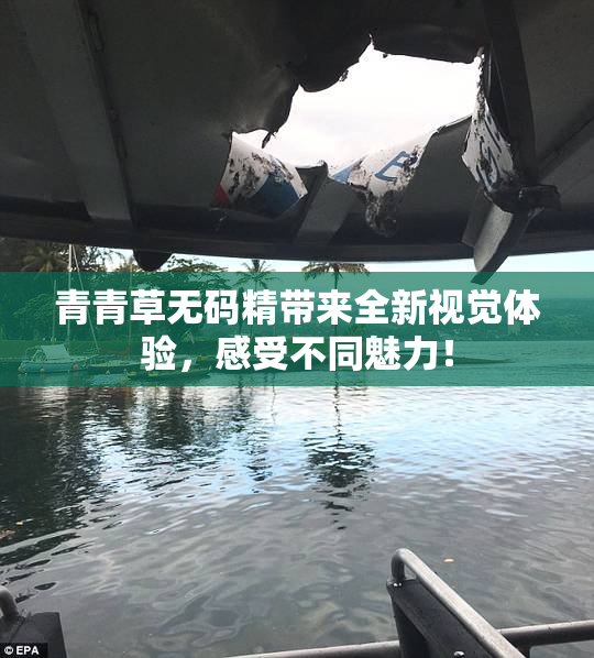 青青草无码精带来全新视觉体验，感受不同魅力！