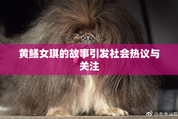 黄鳝女琪的故事引发社会热议与关注