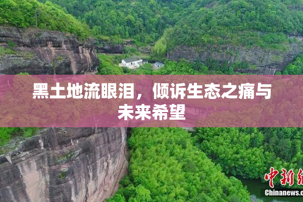 黑土地流眼泪，倾诉生态之痛与未来希望