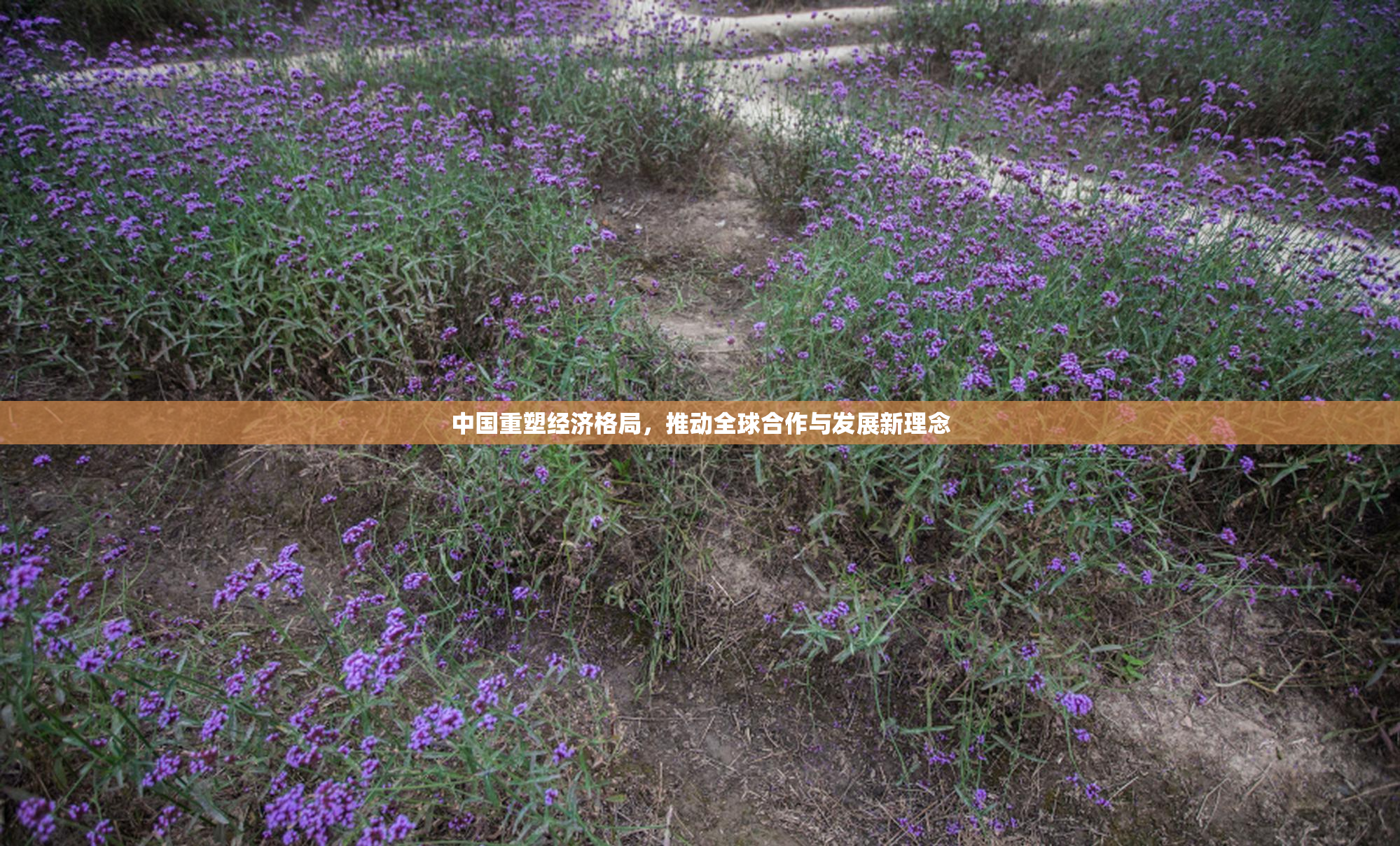 中国重塑经济格局，推动全球合作与发展新理念