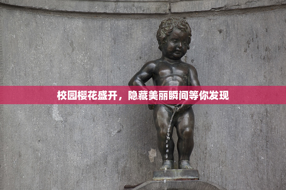 校园樱花盛开，隐藏美丽瞬间等你发现
