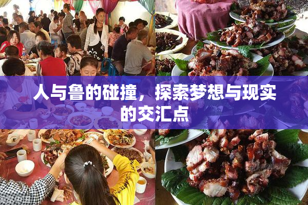 人与鲁的碰撞，探索梦想与现实的交汇点