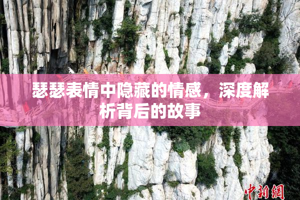 瑟瑟表情中隐藏的情感，深度解析背后的故事