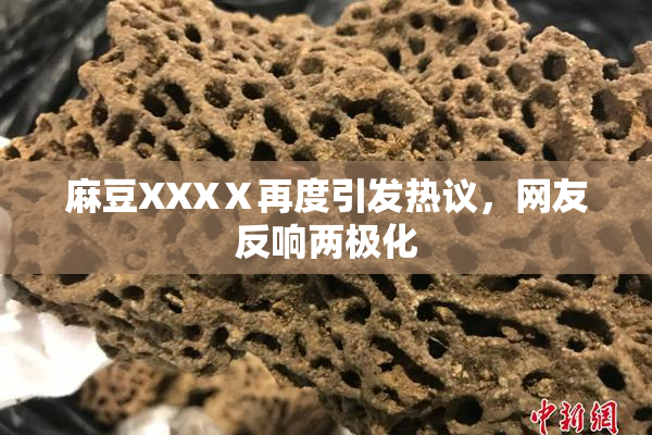 麻豆XXXⅩ再度引发热议，网友反响两极化