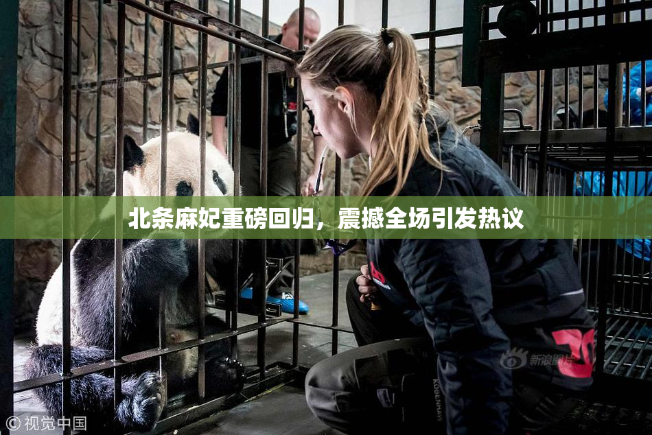 北条麻妃重磅回归，震撼全场引发热议