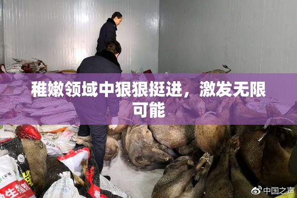 稚嫩领域中狠狠挺进，激发无限可能