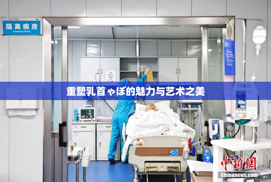重塑乳首ゃぼ的魅力与艺术之美